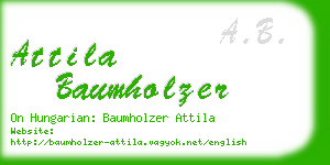 attila baumholzer business card